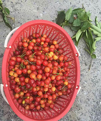 ���ô��� �Լ��ҵ�ӣ��