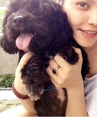 【寻狗启事】5月3日下午斜西街黑色贵宾犬【1000元酬谢】