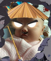 ���������Ƶİ��� ����������