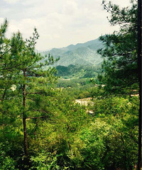 ��������ʵ������ϲ���������Ȣ��ȴ�ǹ����ӵ�