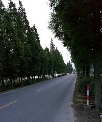 ��û�и������������ �����������չ�һ������