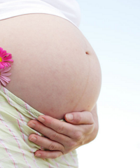 ��̥���軳̥6�£����ĸ��˫����ԭ����..