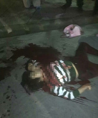 ���μο��Ǹ���Ѫ���������Ϲ�ͱ������ֻ��ͬ�Ӷ��� ���鲻��