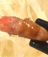 ������ͷ�ͱ�Ϻ �Ե�����ָ��