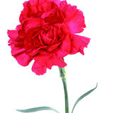 ���ˣ�4�걦������һ��� ������Կ���