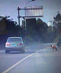 ���� ���ٳ��ڰ��״� һ���Ӿ�����·�м丩�Գ�