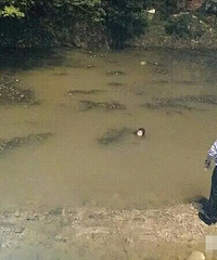 ��㤣��賿�ڱ������ ��Ȼ¶��Ů������Դ�