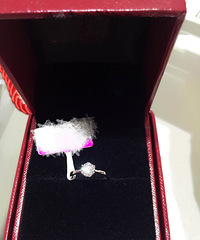 ���ɹ�2016.10.22   ���������������