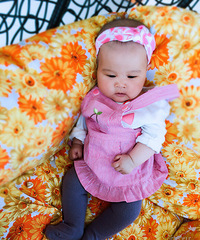 ��ɫϵ��Ԧ�ĺ��ޣ�������