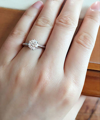 ���1.01���� �²¶��ƶ���Ǯ