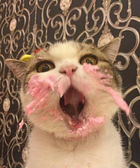 �����￴�ϵ������о�Ȼû������ Ȧ��С��ô�ѵ�