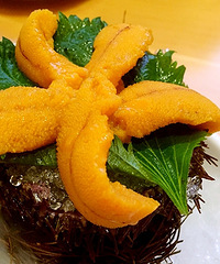 ���ڳԵ�������������ຣ��  ���Ҳ�����ģ�