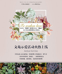 Է520ʾ|ʾŴУͶҶʾ