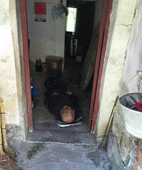 �ֲ�������һ�����ڼ�ˤ�� ���ӿ��ڵ�������Ϣ������