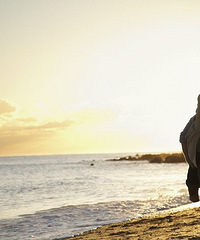 ���Ϲ��ԶԷ������Ǻܰ� ����������ͽ����