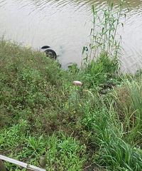 ��ɷ��ͩ�����ߺ��о������ֳ� ˾������������