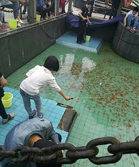 ����Ħ�����ܺ���Ű�� ��������ȴ��Է�����