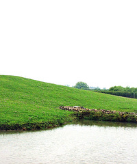 5.22ڴݽѻ¾㡿ǵԵֲŸոտʼ~