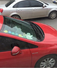 ����������� �����������ĸо�