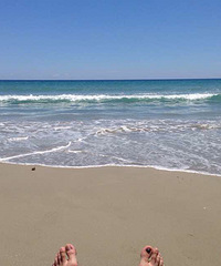 �����������������߼����������� �������˽���