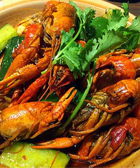 ̫��������С��Ϻ��ת�̵�С��Ϻ�Ե�����