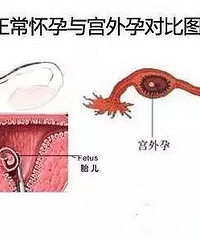 ����������һŮ�ӻ����� ������Ȼ��Ƣ���