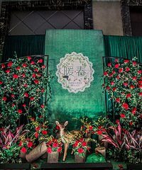 ����α�������ȥ���������һվʽ�����������ȫ�㶨