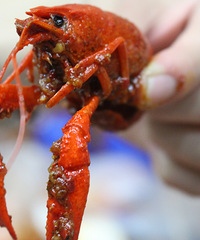 ����·�����������Ϻ ��ζ���أ�