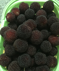 �ֵ��˳���÷�ļ����ˣ�������ɽ��÷��ժ�����Ͽ�ʼ��~