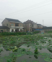 ��ɷ��������һ��̫���������������� ��˵��ǰ����Ź�����