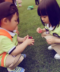 �׶�԰�ĵ�һ��������  ��һ����