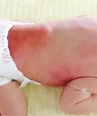 ����7���ı�������ŧ����������ÿ�Ҷ���