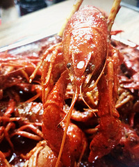 �����ľ��ް���Ϻ �Գ��㳦��Ҳ�޺��ˣ�