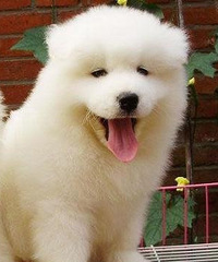 30˶ʿGG  н16w ҲҪ ʾͺ