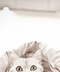 ATM�ſ�����С����ȡǮ ��������Ҵ��۽�