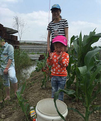 һ�������Ϻȥ �ջ�������