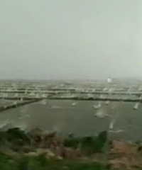 �������������ˣ�Ӳ����ô��ı��������� ��󻹾���˫�ʺ�