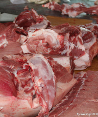 �ڻ�ͥ��ĳ��������ɧζ������ �ؼ�һ����Ҷ��ĵĿ�����