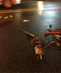 ����һ��ɫ�γ�ײ�����г� ���г���ײ����ȫŤ��!