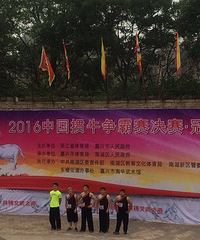 2016������ţ�����������ֳ� ����ʤ�Ĺھ�����