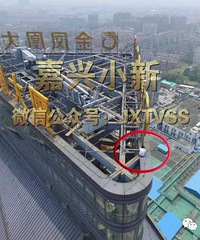 ͩ�籦����쭳����ٱ�������˾��������  �����������˱�����