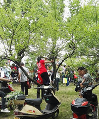 �Ϻ���������ɽ�˺� ����������Ҳ��һĻ��һĻ