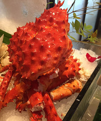 [������]�������������߱Ƹ������ͣ�