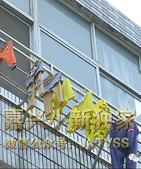 "平湖有个神奇的村子 生双胞胎比例在全国都算高!据说秘诀是..."