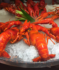 Ʈ�������ı���С��Ϻ ��ֱ������Ϻ�е�ս����