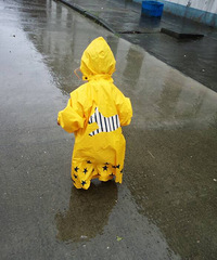 ����� ������¿�������