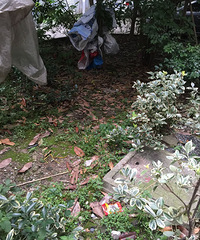 ����������Ƥ��ĳС���Ļ���������һ�����ࡱ���˵ã�