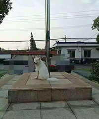 ����������һ���޼ҿɹ��С��������̫����