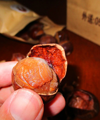 �����еı����� �Գ����������ӻ���������һ����