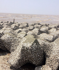 �������� �Ҵ��������������ȵ������ȥ��